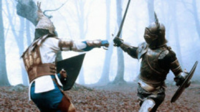 Imagen de Los paladines - 5