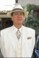 Imagen de El sastre de Panamá - 6