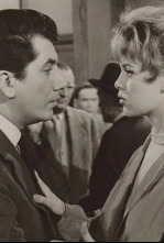 Imagen de Deshojando la margarita - 4