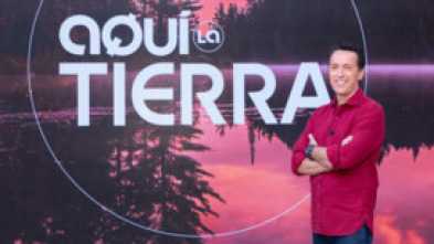 Imagen de Aquí la Tierra - 5