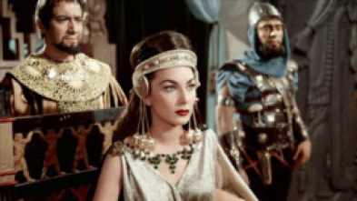 Imagen de La rebelión de los gladiadores - 5