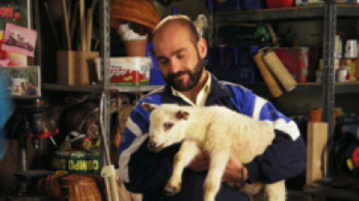 Imagen de Era visto! - 5