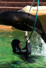 Imagen de Animales en familia - 4