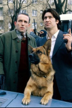 Imagen de Rex, un policía... (T3): Ep.10 Un ángel de cuatro patas - 4