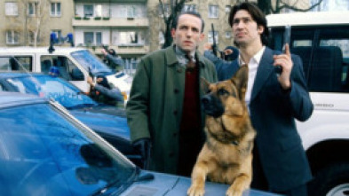 Imagen de Rex, un policía... (T3): Ep.3 Muerte en el museo - 5