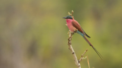 Imagen de Edén: paraísos remotos  - 5