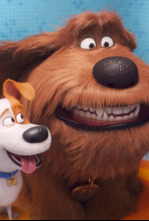 Imagen de Mascotas 2 - 6