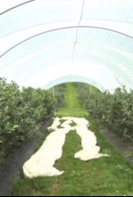 Imagen de Campo y mar - 4