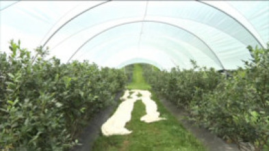 Imagen de Campo y mar - 5