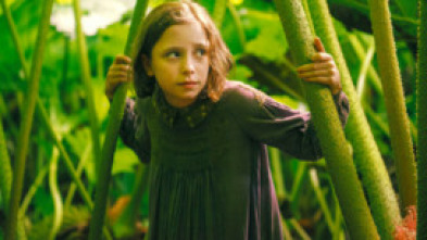 Imagen de El jardín secreto - 5