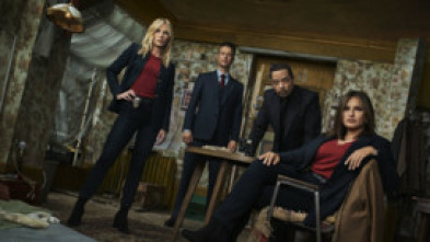 Imagen de Ley y orden:... (T21): Ep.16 Alivio eterno del dolor - 5