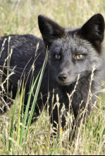 Imagen de Jara y sedal (T25/26) - 4