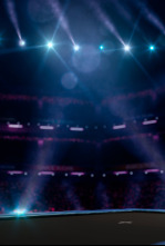 Imagen de Campeonato del... (2025): Finales individuales - 4