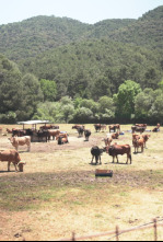 Imagen de Granjas en acción (T1): Ep.8 - 4