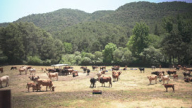 Imagen de Granjas en acción (T1): Ep.4 - 5