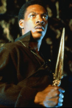 Imagen de El chico de oro - 4