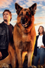 Imagen de Hudson y Rex (T7): Ep.3 Mariscos Para Siempre - 5