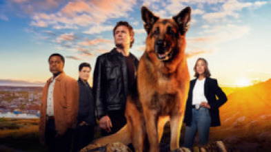 Imagen de Hudson & Rex (T7) - 5