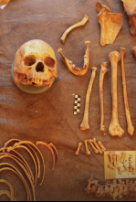 Imagen de El misterio de las momias del Himalaya - 6