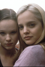 Imagen de American Beauty - 4