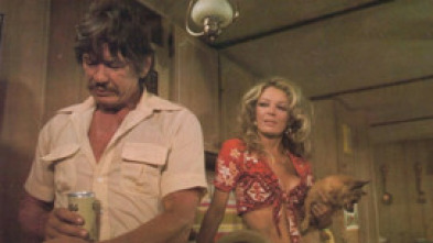 Imagen de Fuga suicida - 5