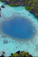 Imagen de El círculo mágico...: Pequeños gigantes: Los bentónicos - 4