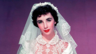 Imagen de El padre de la novia - 5