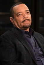 Imagen de Ley y orden: unidad de víctimas especiales (T22) - 4