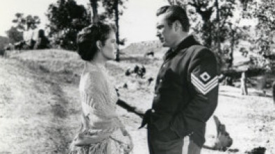 Imagen de La senda de la guerra - 5