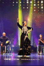 Imagen de Festival de la canción de Extremadura - 4