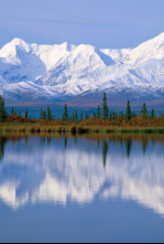 Imagen de Alaska salvaje - 10