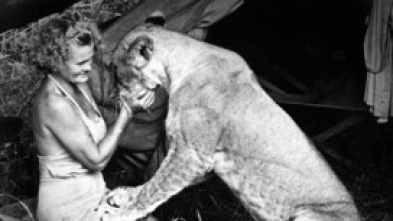 Imagen de Elsa. La leona que cambió el mundo - 5