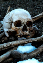 Imagen de Arqueología en el...: Secretos del abismo antártico - 4