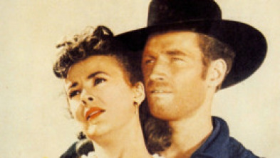 Imagen de Hoguera de odios - 5