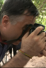 Imagen de Vidas minadas - 4