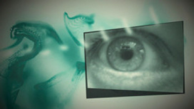 Imagen de Únics: Vicky Peña - 5