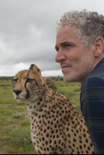 Imagen de Animales con cámaras  - 4