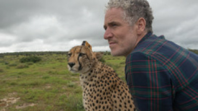 Imagen de Animales con cámaras: Ep.1 - 5