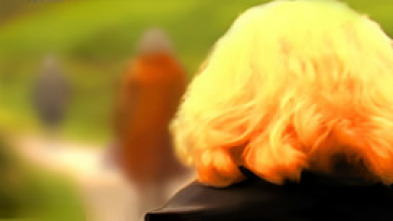 Imagen de Señora de... - 5