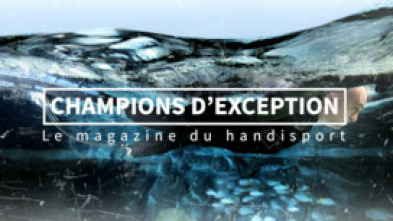 Imagen de Champions d'exception - 5