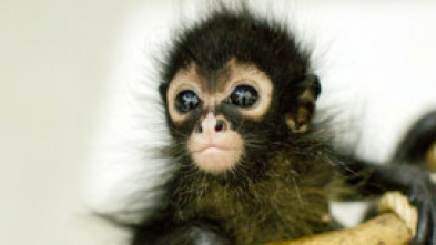 Imagen de Mundo natural  - 5