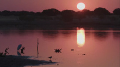 Imagen de Dehesa - 5