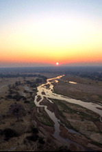 Imagen de Dinastía de león - 5