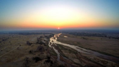 Imagen de Dinastía de león - 6