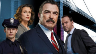Imagen de Blue Bloods... (T5): Ep.3 Cerrando puertas - 5