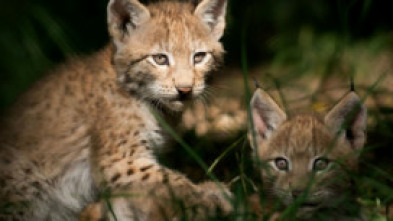 Imagen de Guarderias de la naturaleza - 5