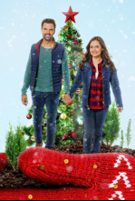 Imagen de Tu i jo i els arbres de Nadal - 4