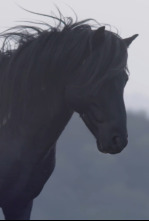 Imagen de Salvajes - 4