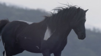 Imagen de Salvajes - 5