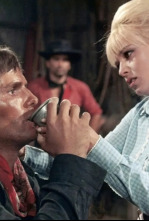 Imagen de El hombre del sur - 4